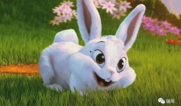 兔子可以吃秋瓜吗视频教程,秋瓜的适宜性解析