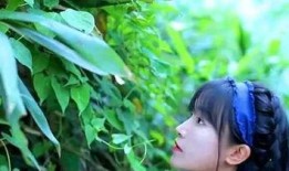 安静公主吃白瓜视频,甜蜜滋味引网友热议