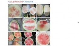 一路吃瓜的视频,揭秘娱乐圈幕后故事