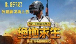 火瓜哥吃鸡视频,趣味横生的游戏体验分享