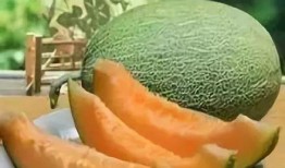 外国人吃新疆哈密瓜视频,外国人品尝新疆哈密瓜的甜蜜之旅