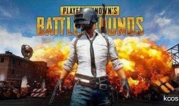 火瓜哥吃鸡视频,趣味横生的游戏体验分享