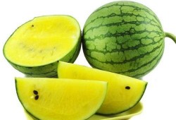 吃瓜吐皮的视频大全下载,盘点热门搞笑瞬间，笑料十足！