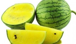 吃瓜吐皮的视频大全下载,盘点热门搞笑瞬间，笑料十足！