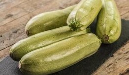 吃酸瓜的视频大全,酸瓜视频大全带你领略美味瞬间