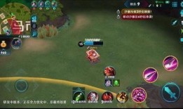 小面瓜王者吃鸡视频,畅爽游戏，欢乐无限