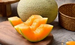 蚂蚱吃哈密瓜视频播放,跟随蚂蚱共赏自然美味