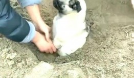 吃瓜喷种子的视频搞笑,吃瓜群众解锁喷种新技能，视频爆笑全场