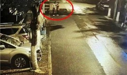 女人打架现场吃瓜视频,女子街头激烈冲突，吃瓜群众围观热议