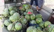 阜阳吃瓜事件真相视频,揭秘真相背后的惊人内幕