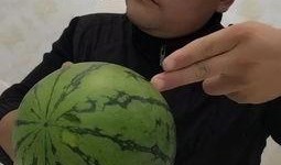 小呆瓜吃大西瓜视频,趣味吃瓜大作战