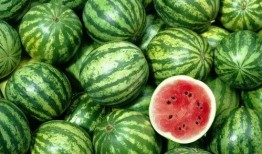 湖北人吃长瓜视频,长瓜的独特风味，视频带你一探究竟