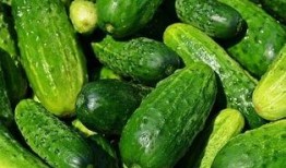 吃花吃瓜视频素材,探寻自然美食的奇妙之旅