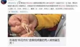 小呆瓜吃红魔虾寄生虫视频,揭秘寄生虫真相