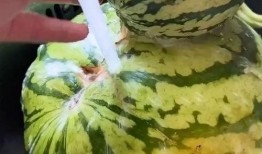 吃瓜搞笑声音视频播放大全,全网爆笑！吃瓜搞笑声音视频大盘点