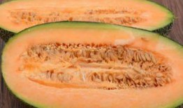 放人吃哈密瓜的视频叫什么