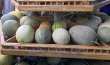 新疆吃瓜视频,揭秘新疆特色美食的魅力