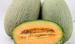 另类吃哈密瓜的视频,另类吃哈密瓜新玩法，趣味视频走红网络