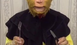 大圣的吃瓜视频,揭秘娱乐圈幕后风云