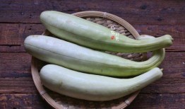 缅甸的瓜怎么吃最好吃视频,视频揭秘最佳食用方法