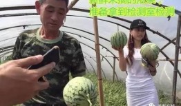 莒南吃瓜群众视频直播,带你领略乡村生活百态