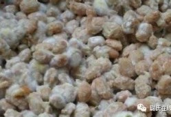 延津吃瓜的视频,揭秘当地特色美食背后的故事