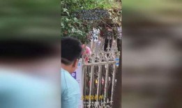 唱歌房吃瓜视频,一场吃瓜群众的视觉盛宴