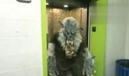 带你吃瓜搞笑视频滑梯版,欢乐无限，笑料横生！