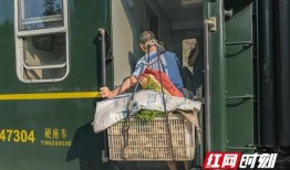 火车上吃瓜的视频,一场别开生面的美食之旅