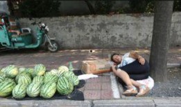 吃瓜小熊卖牛粪视频,一场另类农业直播秀