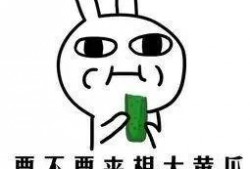 我不怕冷吃瓜视频大全,不怕冷吃瓜视频大全精选