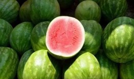 坎瓜可以砍着吃吗视频