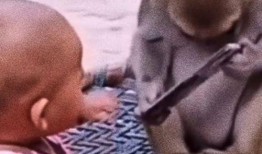 带你吃瓜沙雕配音视频,带你吃瓜笑翻天