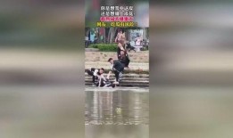 吃瓜群众拉丁舞视频大全,揭秘吃瓜群众拉丁舞视频大全