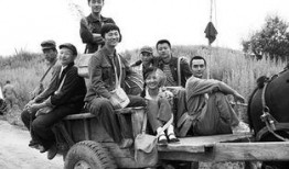 我的知青岁月吃瓜视频,我的知青岁月吃瓜趣事