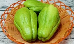 鸵鸟会吃佛手瓜吗视频大全,揭秘鸵鸟对佛手瓜的神奇反应