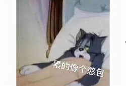 老头老太太吃瓜视频,老顽童的欢乐时光