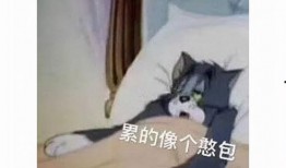 老头老太太吃瓜视频,老顽童的欢乐时光