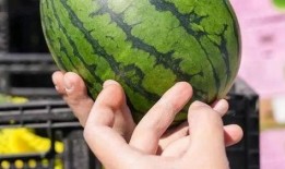 吃瓜小能手视频怎么拍,轻松拍出热门视频的秘诀