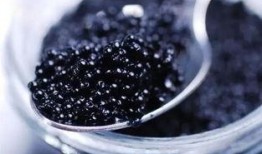 杏子鱼子酱吃瓜视频,揭秘美食与娱乐的跨界融合