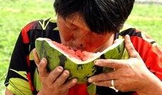 两个老太太吃瓜视频大全,两位老太太的吃瓜视频大揭秘