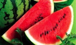 吃瓜吐皮的视频大全下载,盘点热门搞笑瞬间，笑料十足！