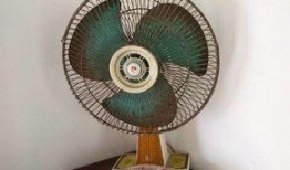 风扇吃瓜视频,揭秘夏日清凉背后的秘密