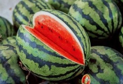 吃瓜的视频教程,跟随视频教程解锁夏日消暑新技能