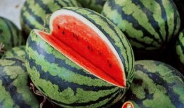 吃瓜的视频教程,跟随视频教程解锁夏日消暑新技能