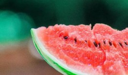 坎瓜可以砍着吃吗视频