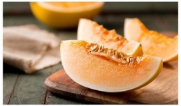 狗不可以吃哈密瓜吗视频,狗狗为何不宜食用哈密瓜