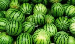 郑州八卦群吃瓜视频最新,吃瓜视频揭露惊人内幕