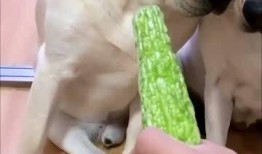 吃迷糊瓜视频大全,趣味横生的欢乐时光回顾