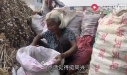 马奶奶吃瓜的视频下载,趣味横生的夏日时光